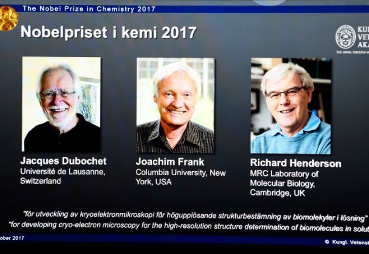El Nobel de Química premia la criomicroscopía electrónica