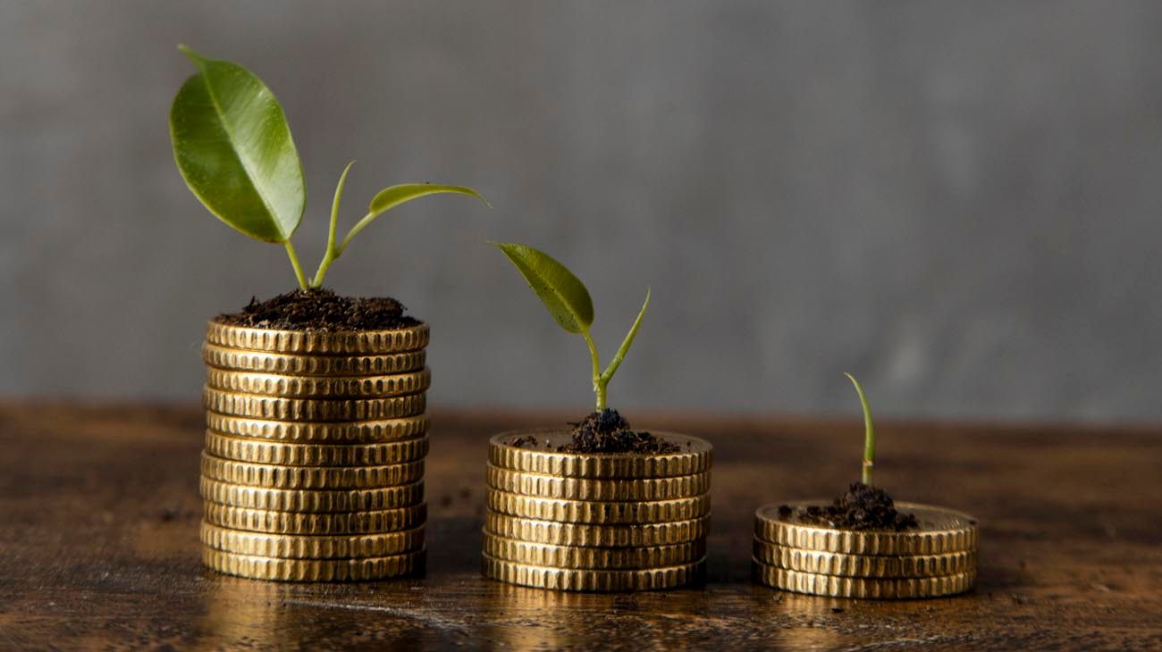 Crecer sin destruir: la discusión que ya resolvió el mercado
