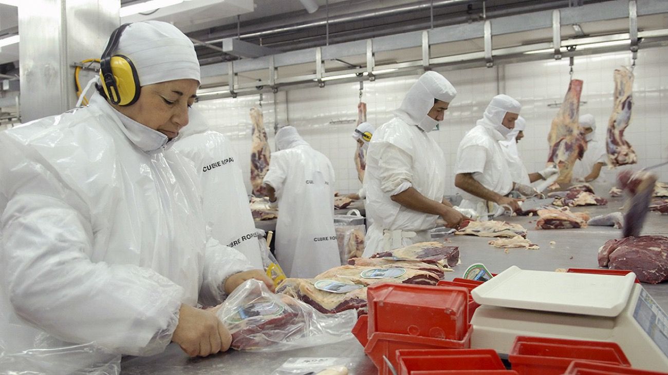El Gobierno finalmente autorizó la exportación de 140 mil vacas a China