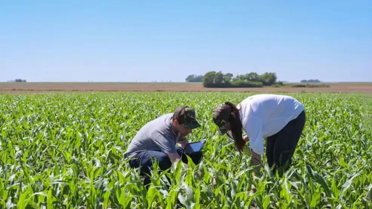 Por qué el productor debe empezar a tener "la necesidad de planificar la comercialización"