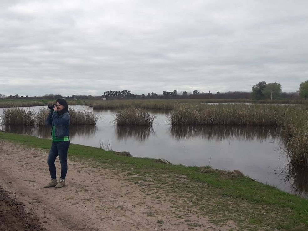Turistas multiplataformas: Ranchos