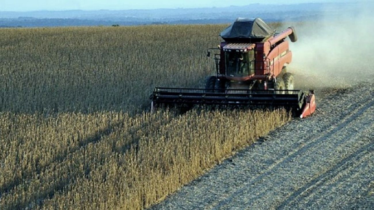 Tras la sequía, se espera una buena campaña mientras crece la preponderancia de "El niño"
