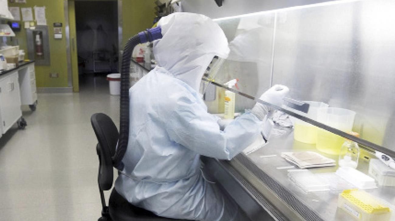 La elaboración de productos farmacéuticos creció un 2,8 % en el año