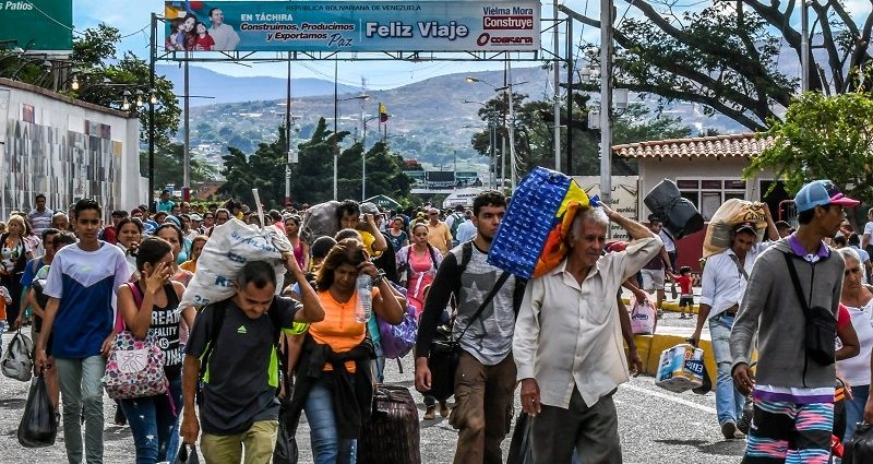 Lanzan una campaña para que los emigrantes venezolanos se reencuentren con sus perros