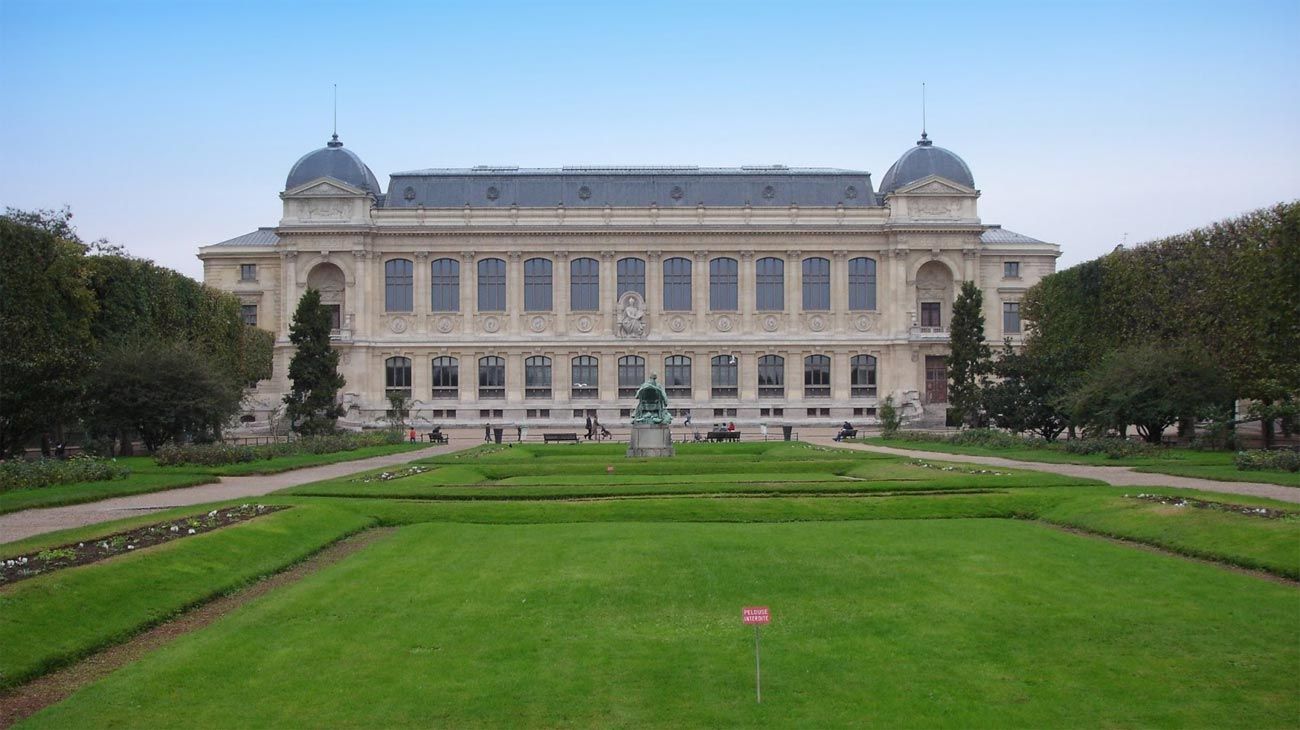 Robo en el Museo de Historia Natural de París: se llevaron 6 kilos de oro valuado en 700.000 dólares