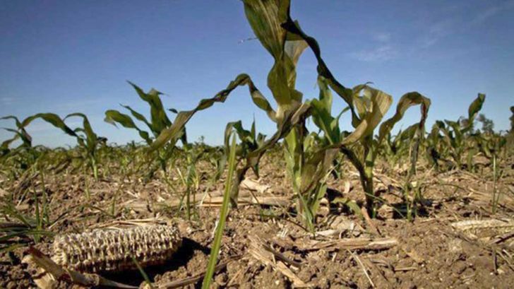No afloja: Pese a la sequía aumenta la presión fiscal contra el agro