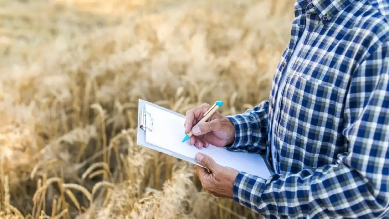 Panorama del mercado inmobiliario agrícola: “Los campos 100% agrícolas son los que tienen mayor demanda”