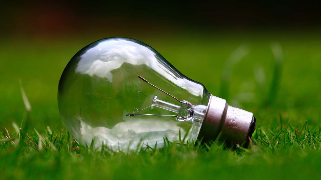 Talento verde: construyendo un mundo más equitativo y vivible