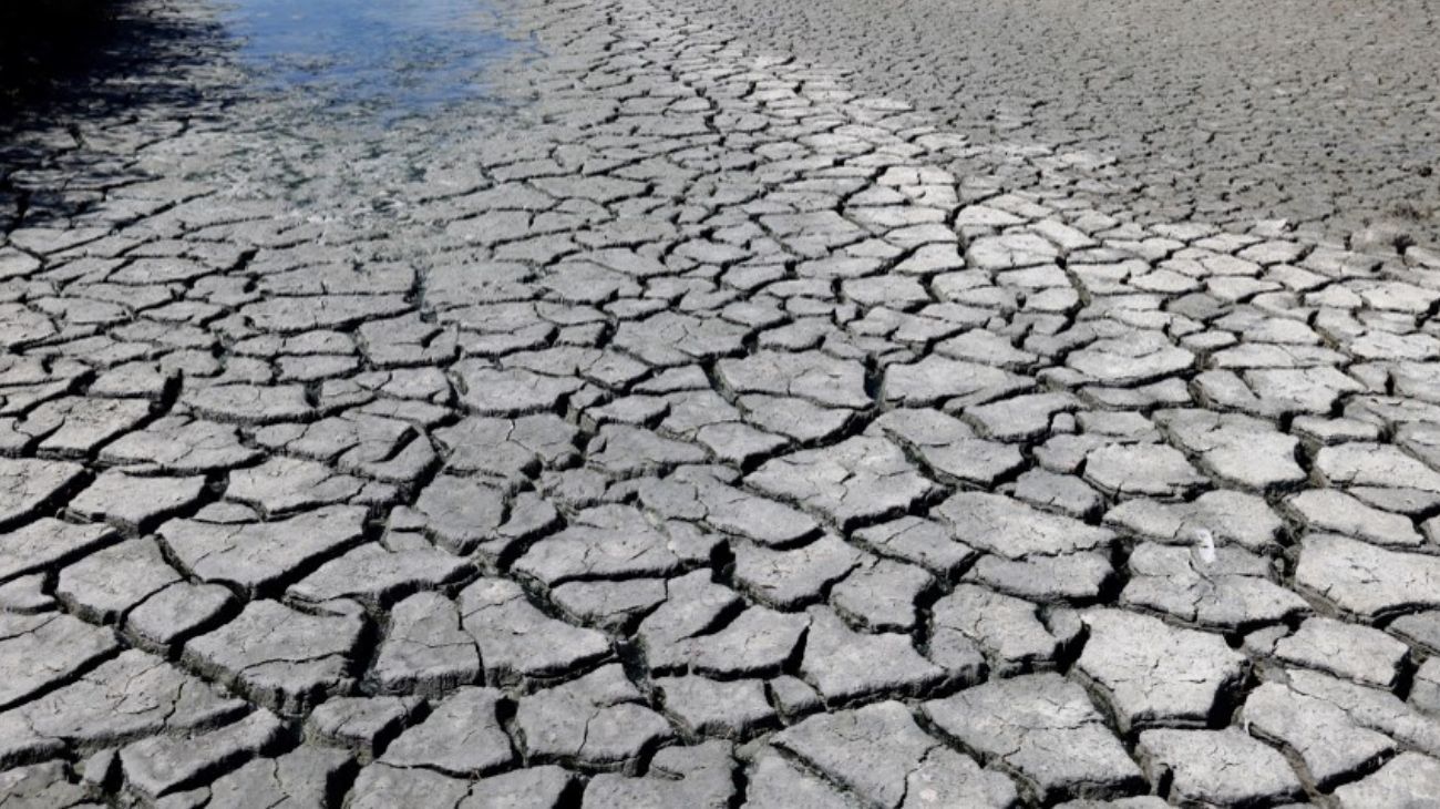 La sequía afecta a 140 millones de hectáreas de cultivos en Argentina