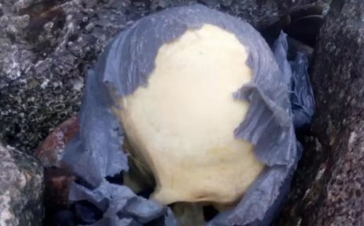 Macabro hallazgo: encuentran un cráneo humano en la playa