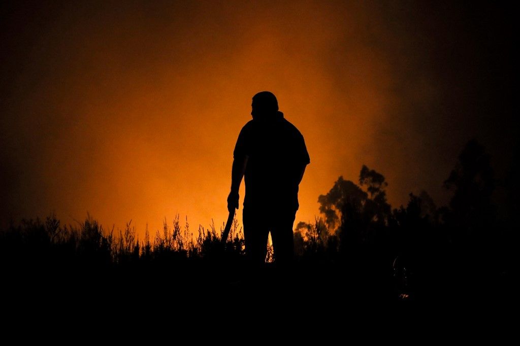 Los incendios de Chile queman campos de cerezas y amenazan exportaciones