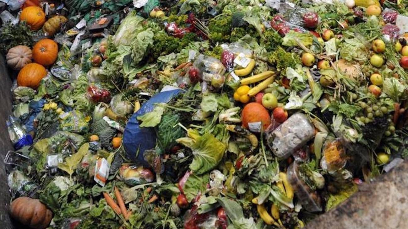 El 40% de los alimentos se tira a la basura a nivel mundial