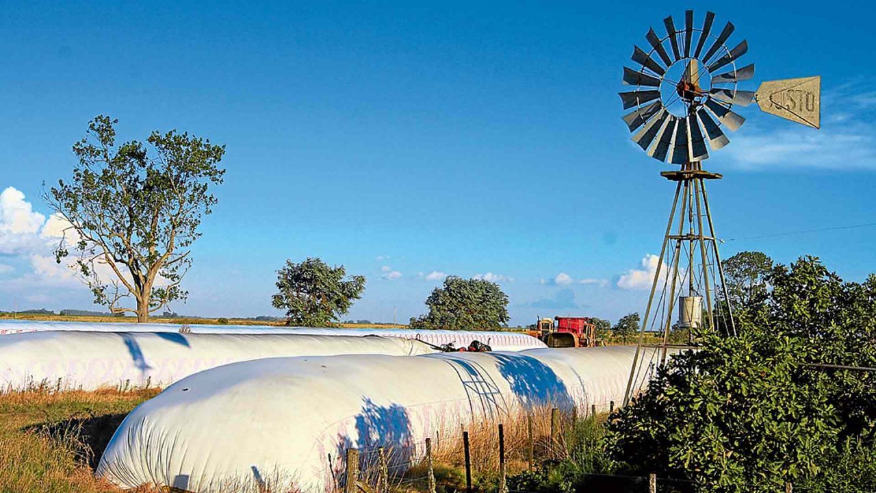 Un productor de Santiago del Estero fue víctima de la rotura de 5 silobolsas de maíz
