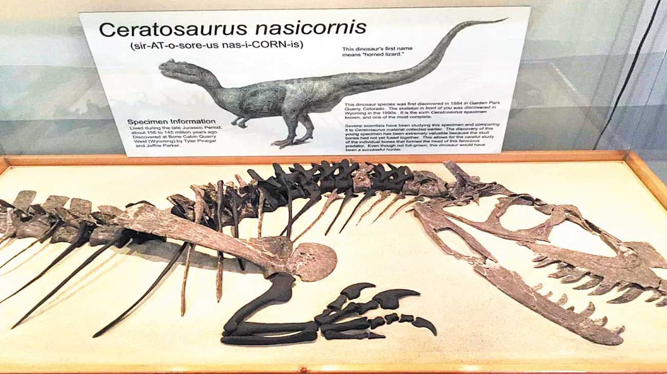 Los restos de dinosaurios compiten con las obras de arte en las subastas