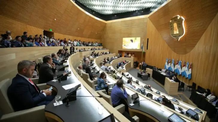 Liberal fogonea “control de validez” de los decretos por las facultades delegadas a Llaryora