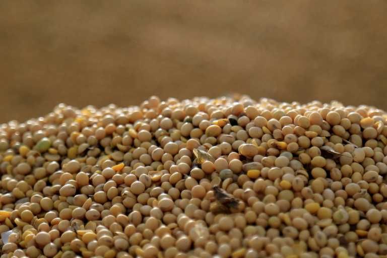 Argentina perdió el liderazgo como mayor exportador de harina de soja
