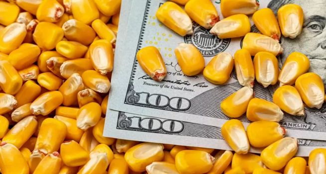 El "dólar agro 4" es un nuevo dólar a $340, que impactará sobre el precio de la carne