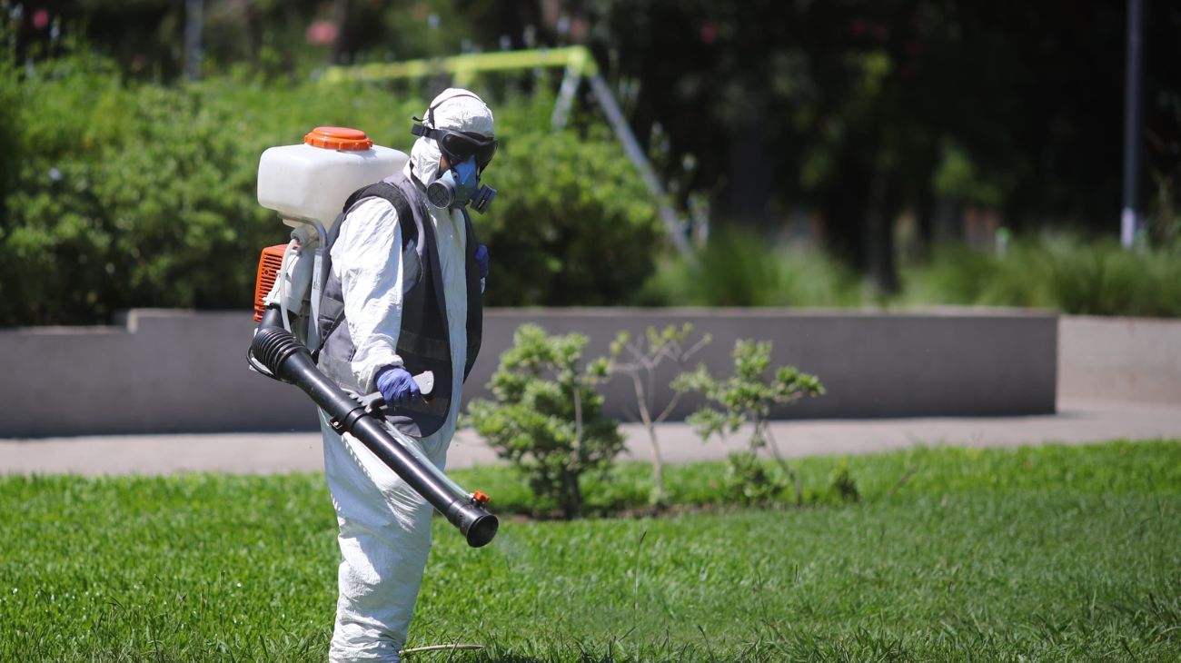 "Nube de mosquitos": el pico podría durar hasta 10 días y recomiendan intensificar el uso de repelentes