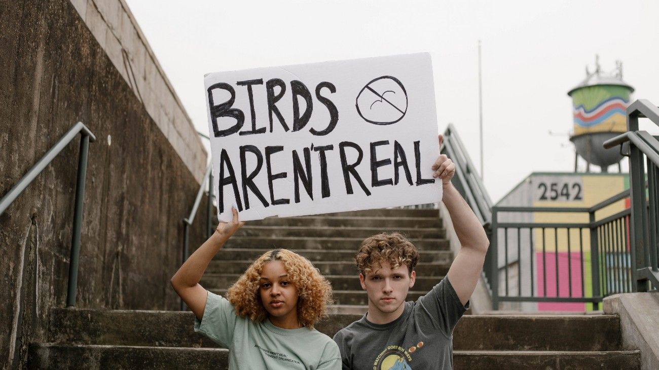 Birds Aren’t Real: un grupo de conspiranoicos dice que las aves son, en realidad, drones espías