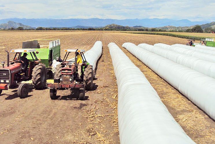 El campo considera que con este precio ya es hora de vender