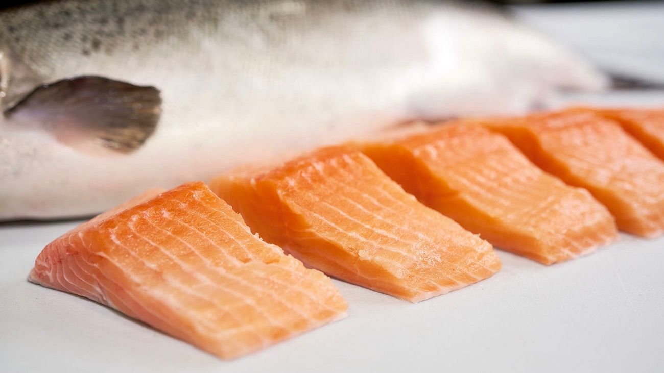 Salmón transgénico: aprueban su producción y consumo en Estados Unidos
