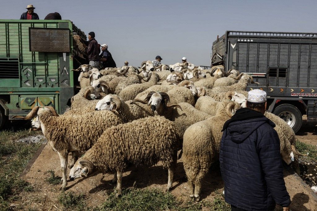 El nuevo modelo económico de Marruecos
