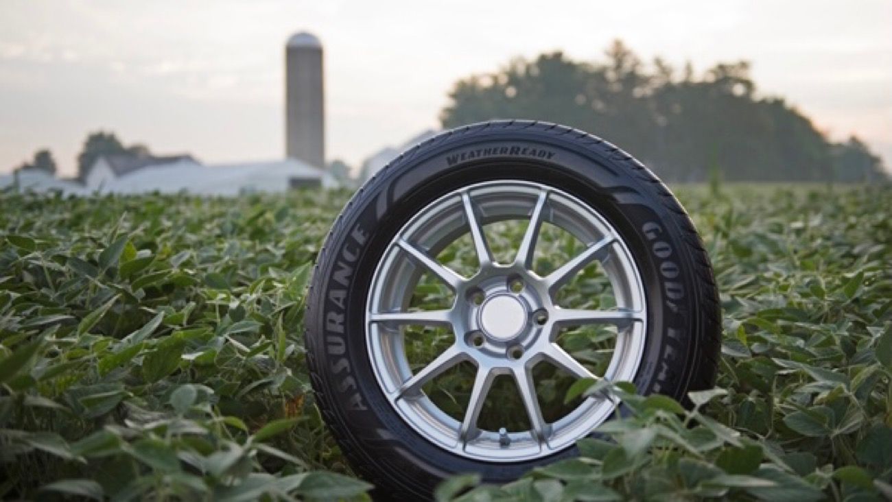Goodyear solo usará aceite de soja para fabricar sus neumáticos