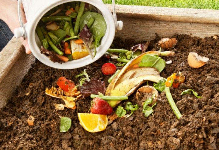 Qué es el compost y cuáles son sus cuidados