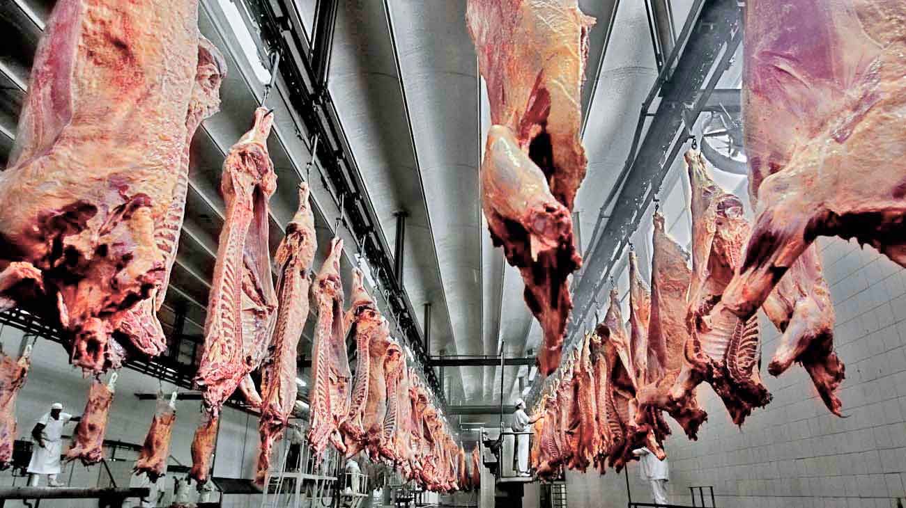Nueva norma de la UE jaquea las exportaciones