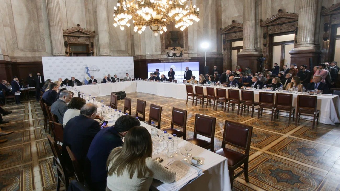 Ley de Bases en el Senado: los cambios que pidió la oposición dialoguista