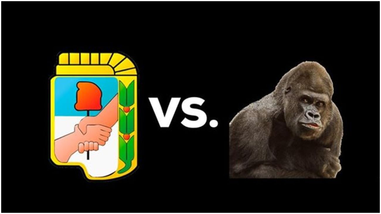 "¿Peronista o gorila?": el juego furor en redes que ridiculiza la grieta argentina