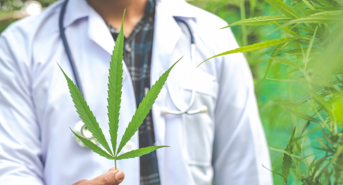 Expo Cannabis 2023: cuáles fueron los objetivos que se cumplieron