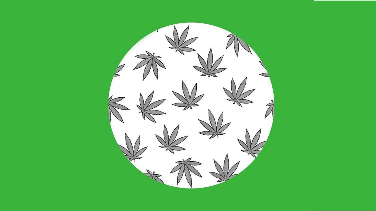 "Trimmigrants": boom de latinos ilegales que cosechan cannabis en Estados Unidos