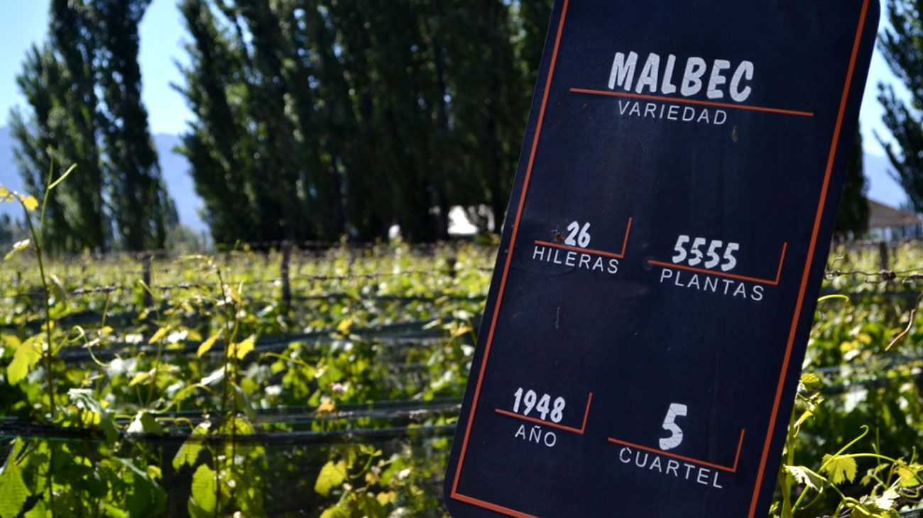 17 de abril: Día Mundial del Malbec