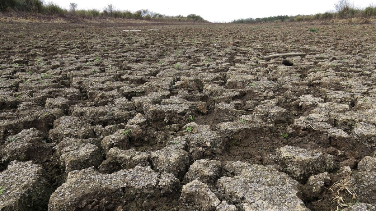 Desde la Mesa de Enlace anticipan una suba de precios en los productos del agro por la sequía