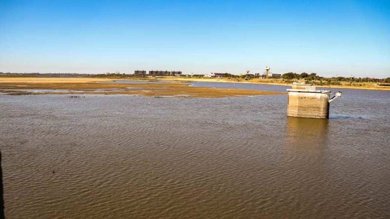 Bajante del río Paraná: cómo afecta a la producción del campo y al medio ambiente