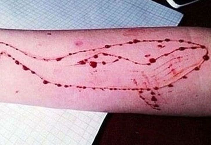 En qué consiste el peligroso juego de la 'Ballena Azul'