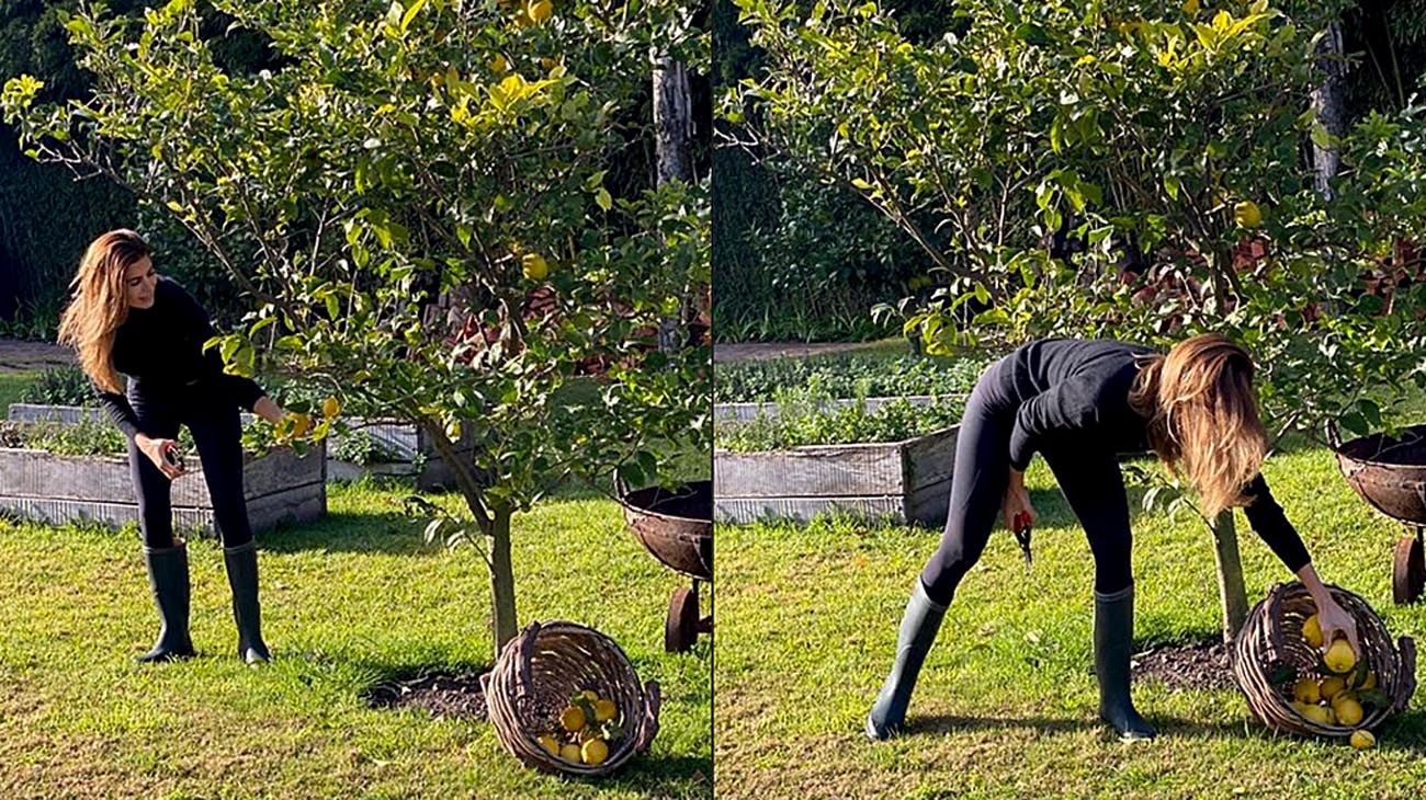 Juliana Awada mostró los "brotes verdes" en su casa de Acassuso