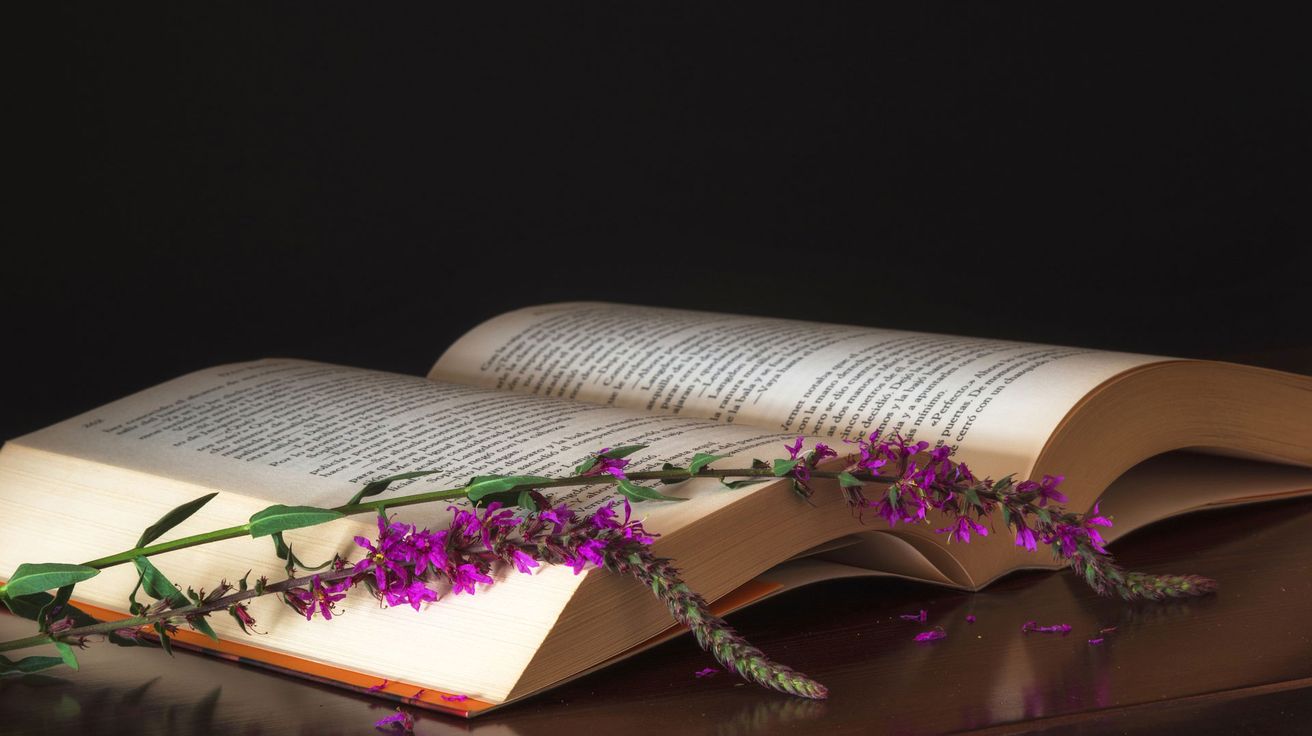 El placer de leer, siempre (trigésima sexta entrega)