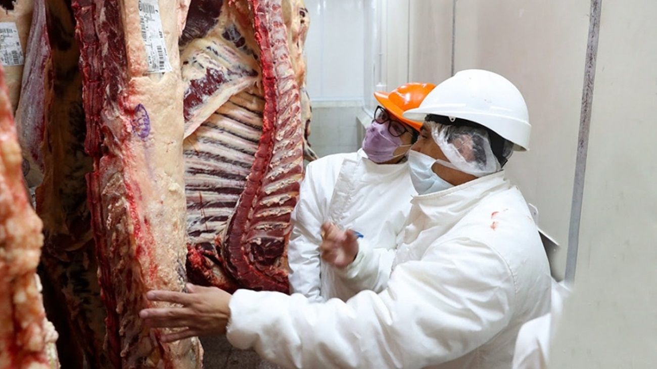 Carne: el año comenzó con menos producción y caída del consumo