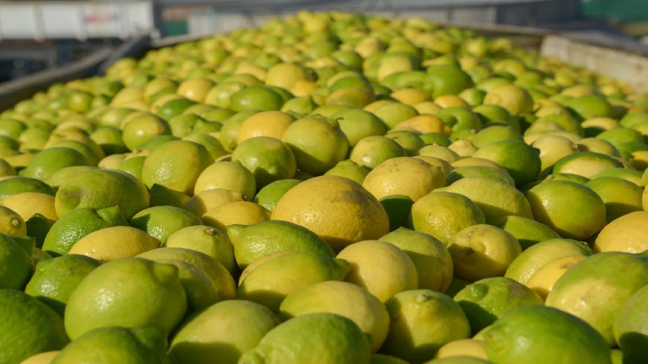 Milei y la ley del limón exprimido