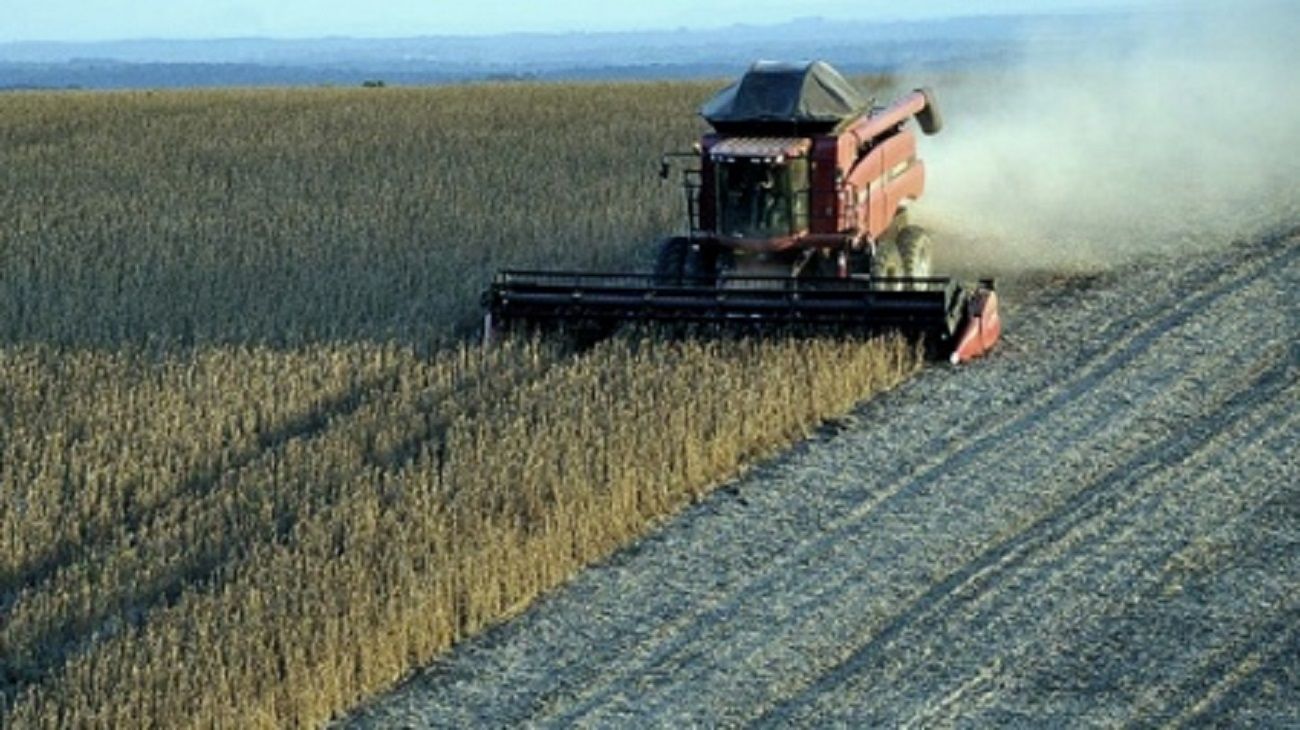 El agro: la “estrella” que necesita el Gobierno para potenciar el ingreso de divisas
