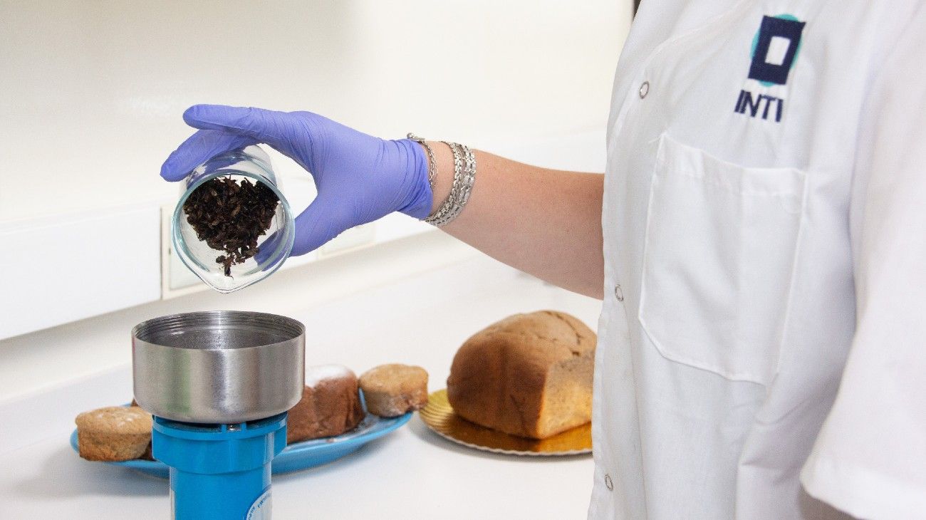 Harina de grillo para alimentos: cómo es el polvo que se estudia para consumo humano