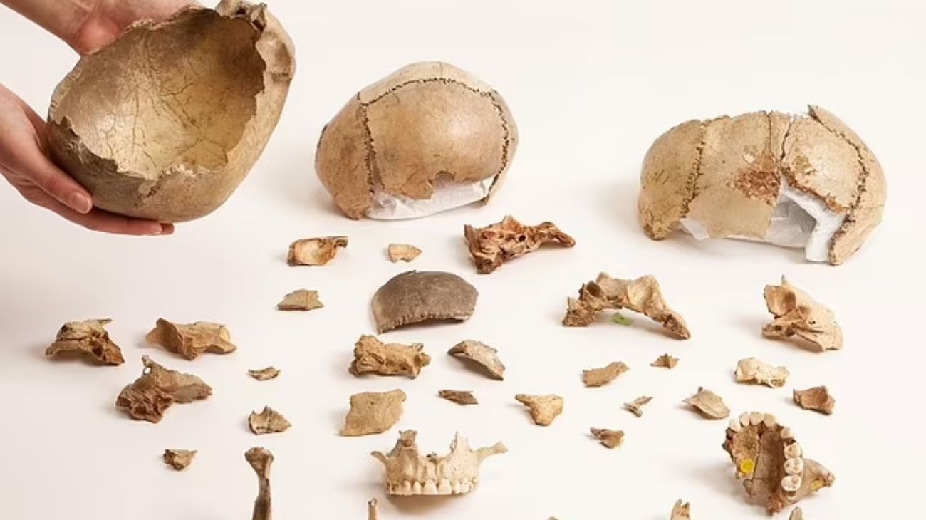 Canibalismo en la Edad de Piedra: científicos creen que comer muertos era parte de rituales funerarios