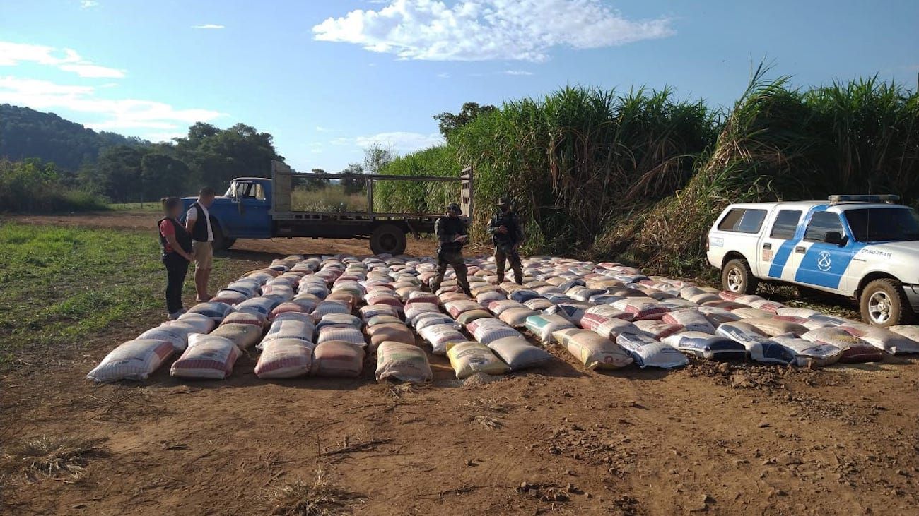 Prefectura decomisó 10 toneladas de semilla de soja ilegales