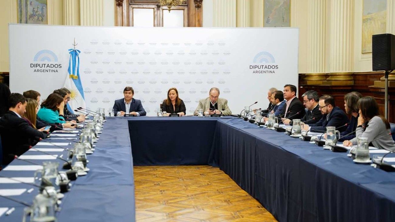 Diputados avanza con la ley de alcohol cero al volante