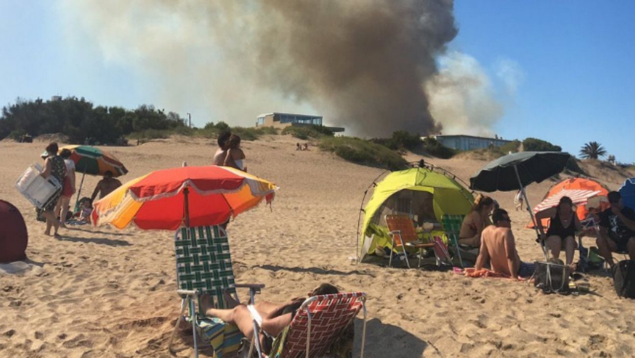 Un incendio forestal causó alarma en la zona norte de Villa Gesell