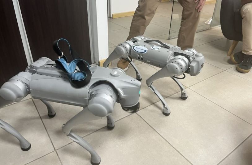 Una tecnológica lanza perros robot para seguridad y control industrial