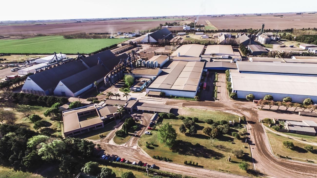 El Consejo Agroindustrial presenta un plan para evitar suba de las retenciones