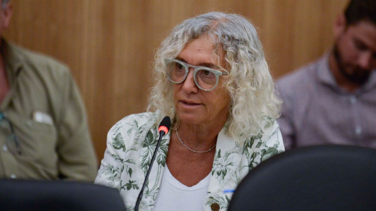 Mónica Frade: "La discusión de la Ley Bases va a llevar unos meses más"